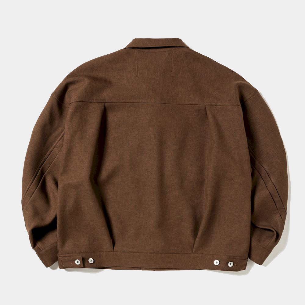 Pleated Sleeve Blouse/Brown